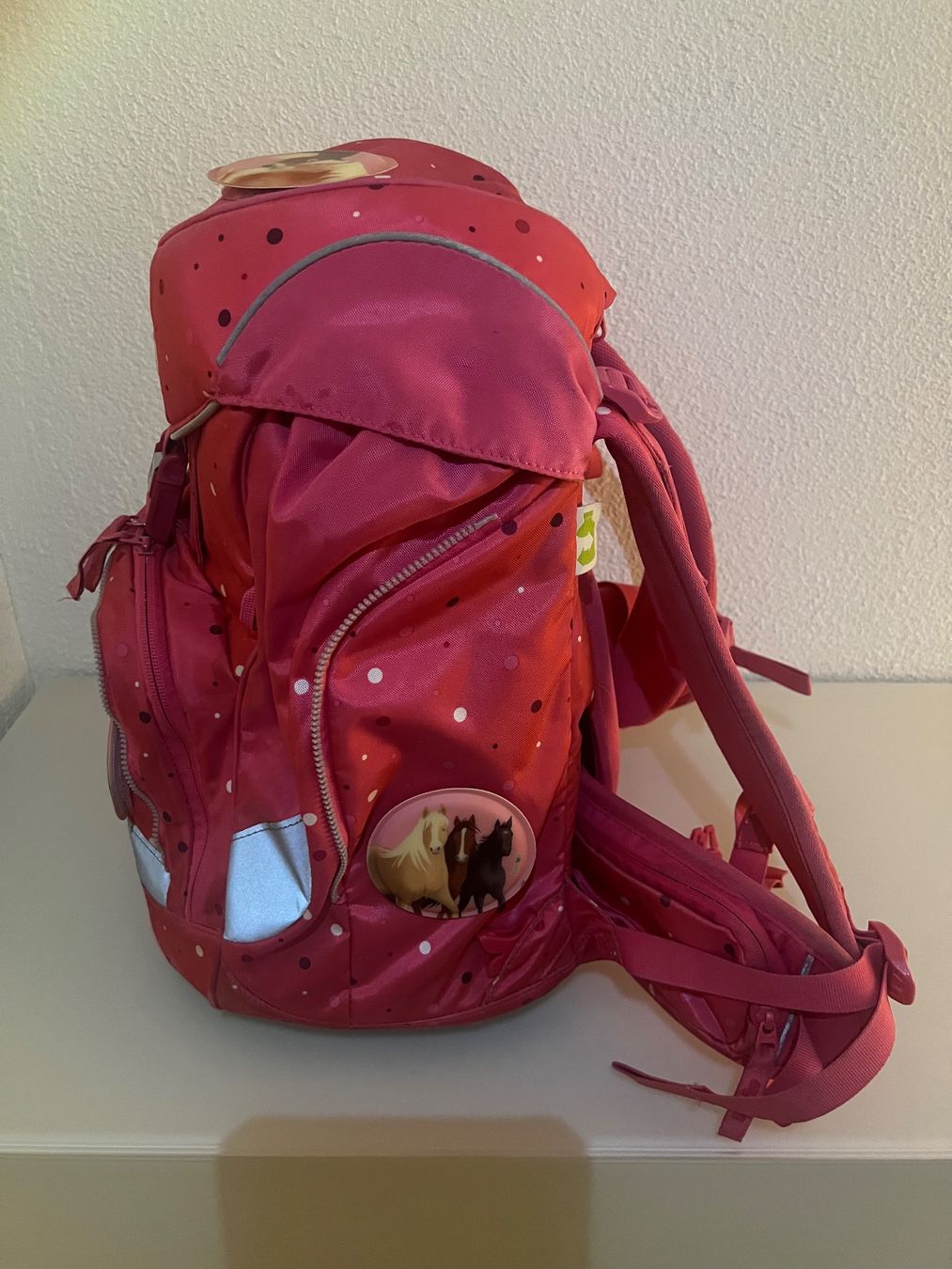 Ergobag Borse & Zaini: Ergobag Pack Schulrucksack Set Pink mit Pferd, Top Zustand! – Usato da Feldbrunnen venduto da Gianni_1970 3