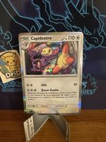 Carte Pokémon Capidextre reverse 079/094 FR ME2 