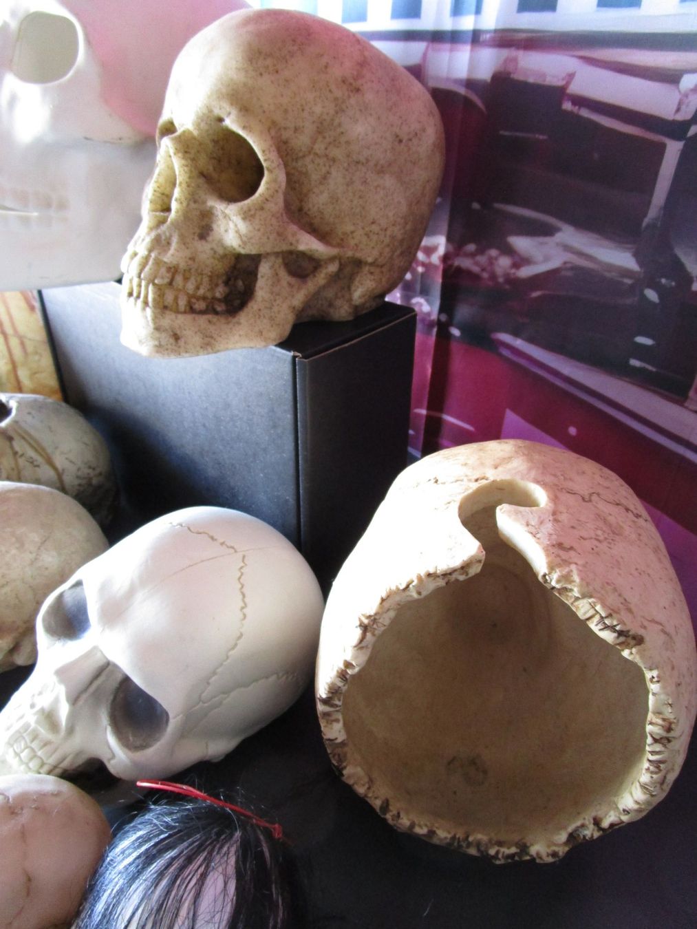 Tutte le decorazioni: Totenkopf  Schädel  Sammlung – Usato da Ermatingen venduto da Kobold007 5