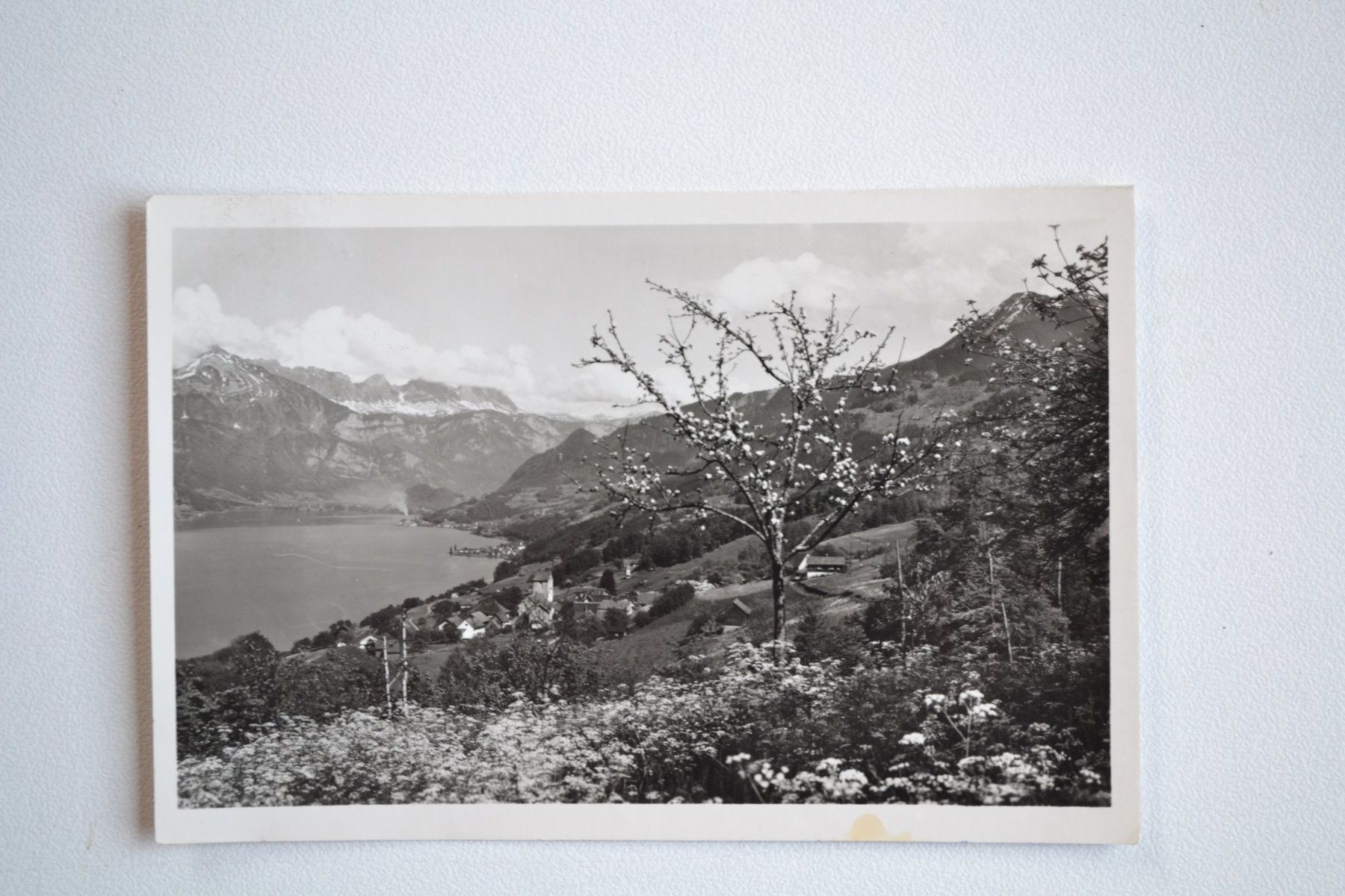 Cartoline postali: AK Obstalden mit Walensee und Alvierkette – Usato da Beinwil am See venduto da kajak55