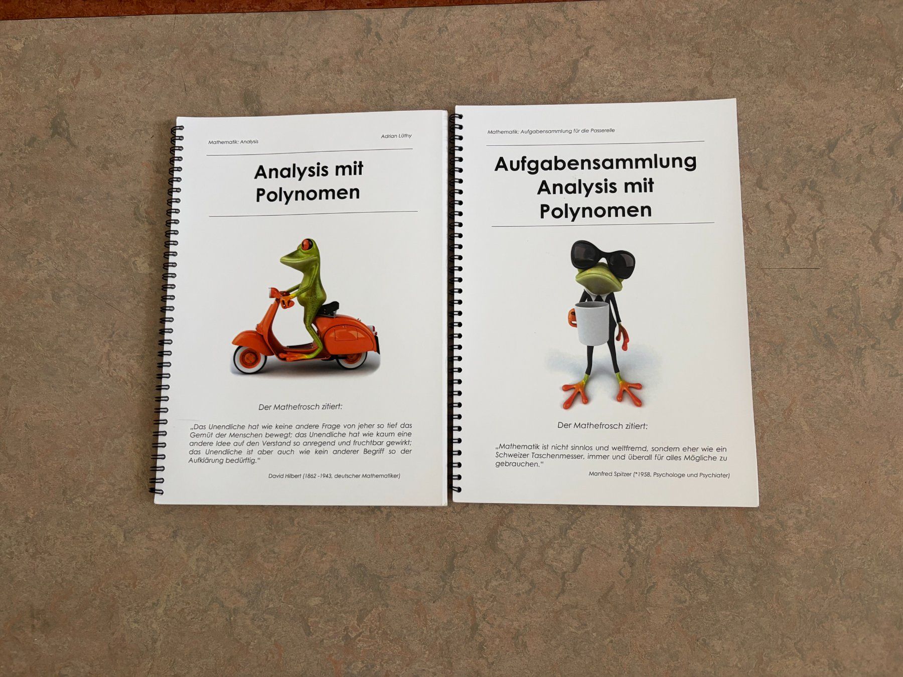 Libri: Mathefrosch - Passerelle Aarau – Usato da Wettingen venduto da lev_9txp 2