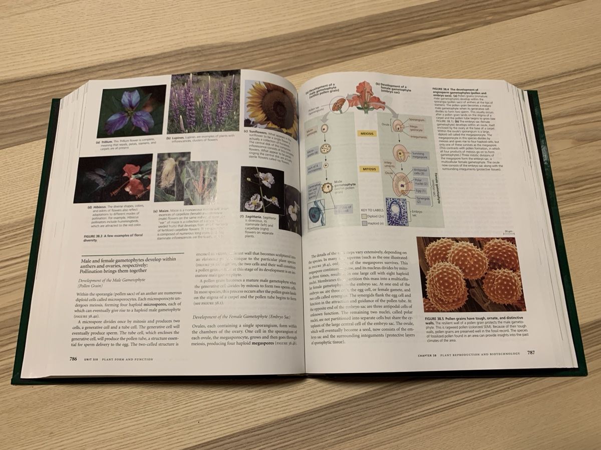 Bücher: Biology – Neu (gemäss Beschreibung) aus Goldach von sim_6w5n 1