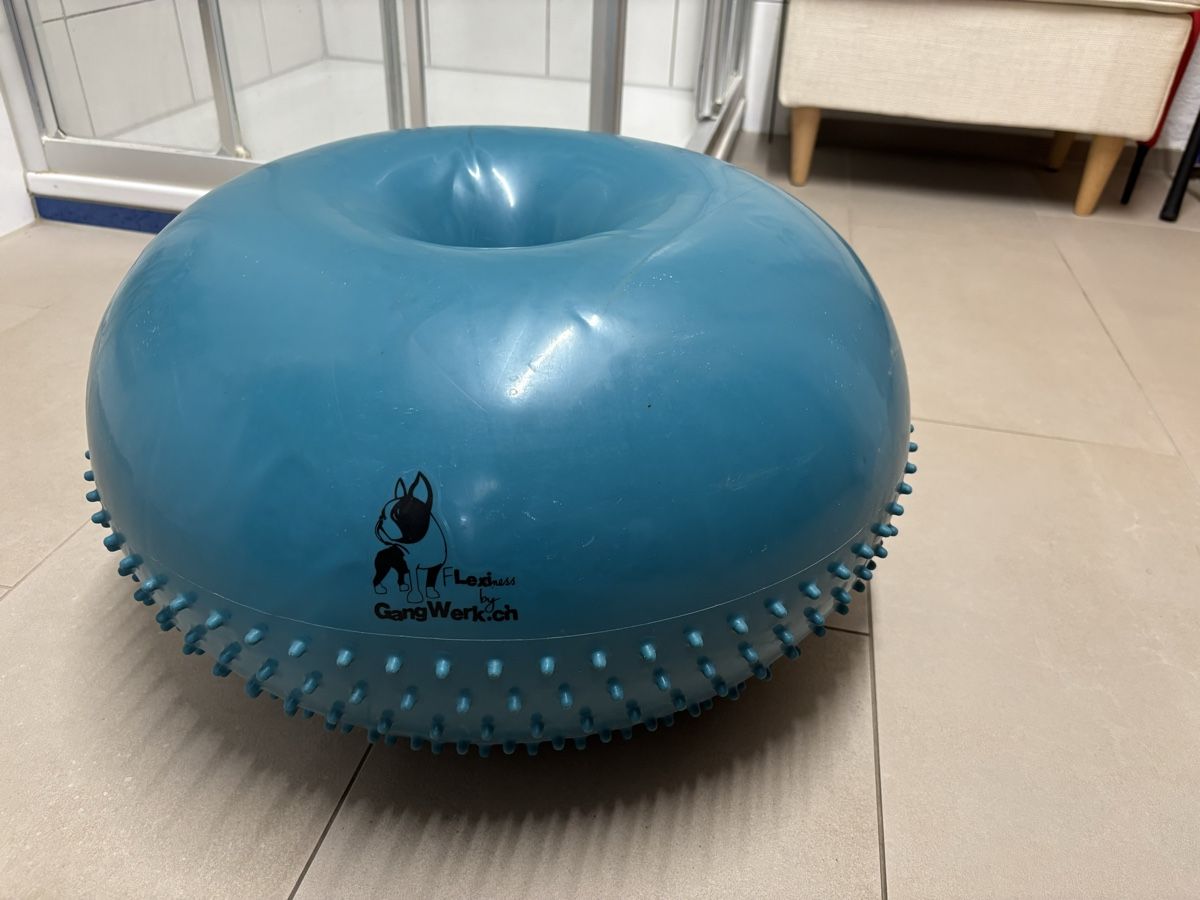 Giocattoli: Flexiness Donut für Hunde – Usato da Malters venduto da 100290