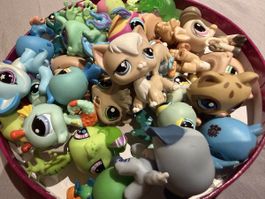 Littlest Pet Shop mixed Set 🤍✨🎇