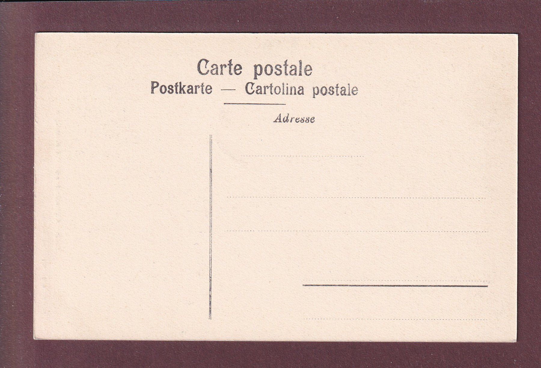 Cartoline postali: ALPBACHSCHLUCHT bei Meiringen – Usato da Pully venduto da nicecards 1