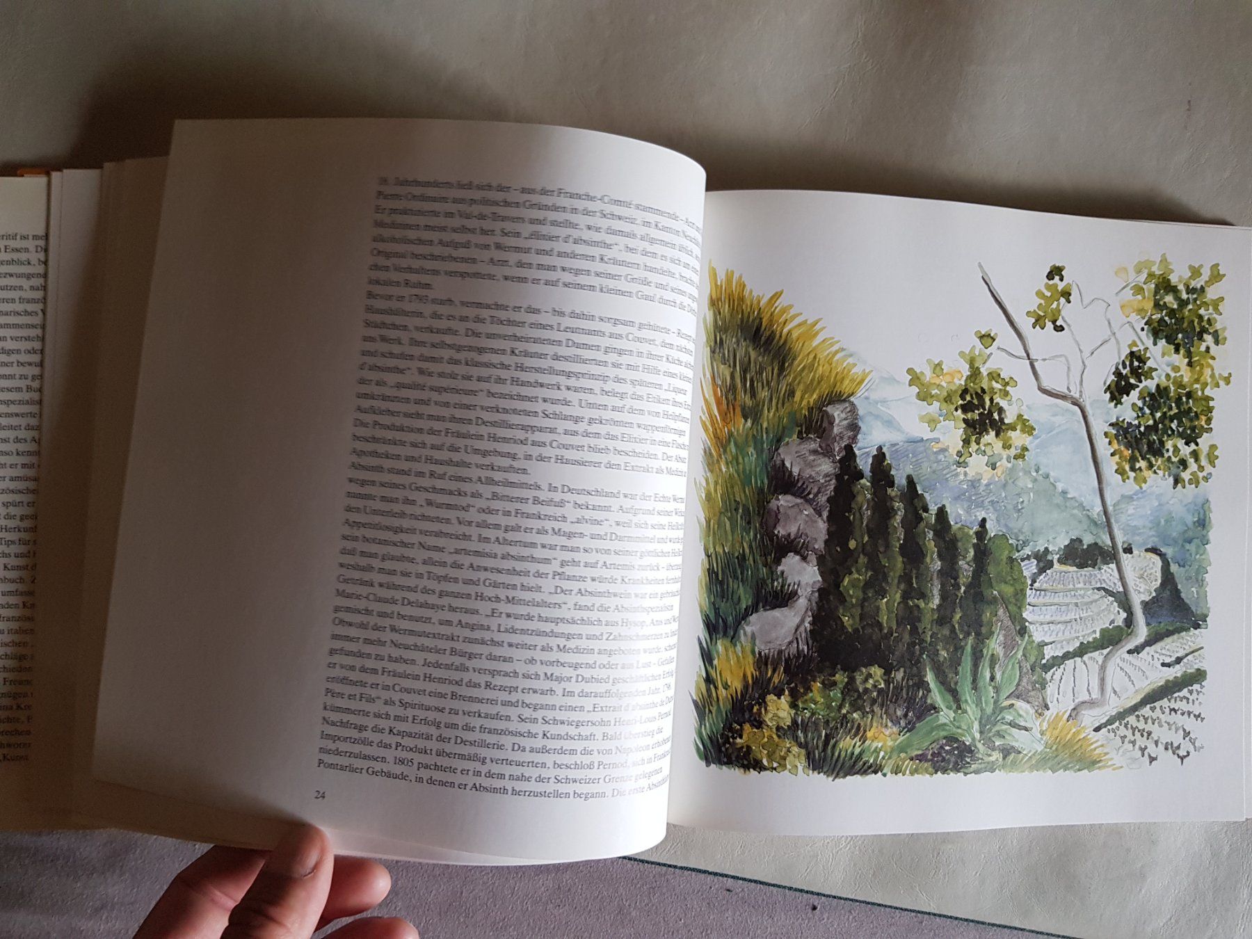 Libri: Die Kunst des Aperitif - André Dominé - 1989 – Usato da Walterswil BE venduto da Lonitti 6
