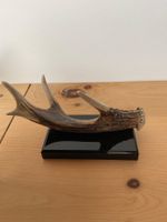 Skulptur : Echtes Geweih auf Steinsockel