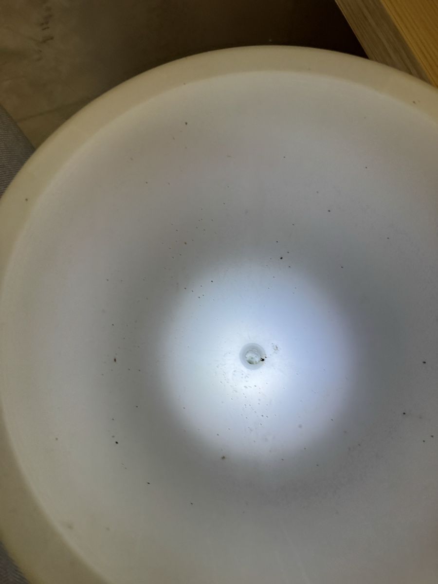 Lampade: Lampe design à LED, lumière douce, cache pot – Usato da Veyrier venduto da kimedovapa 5
