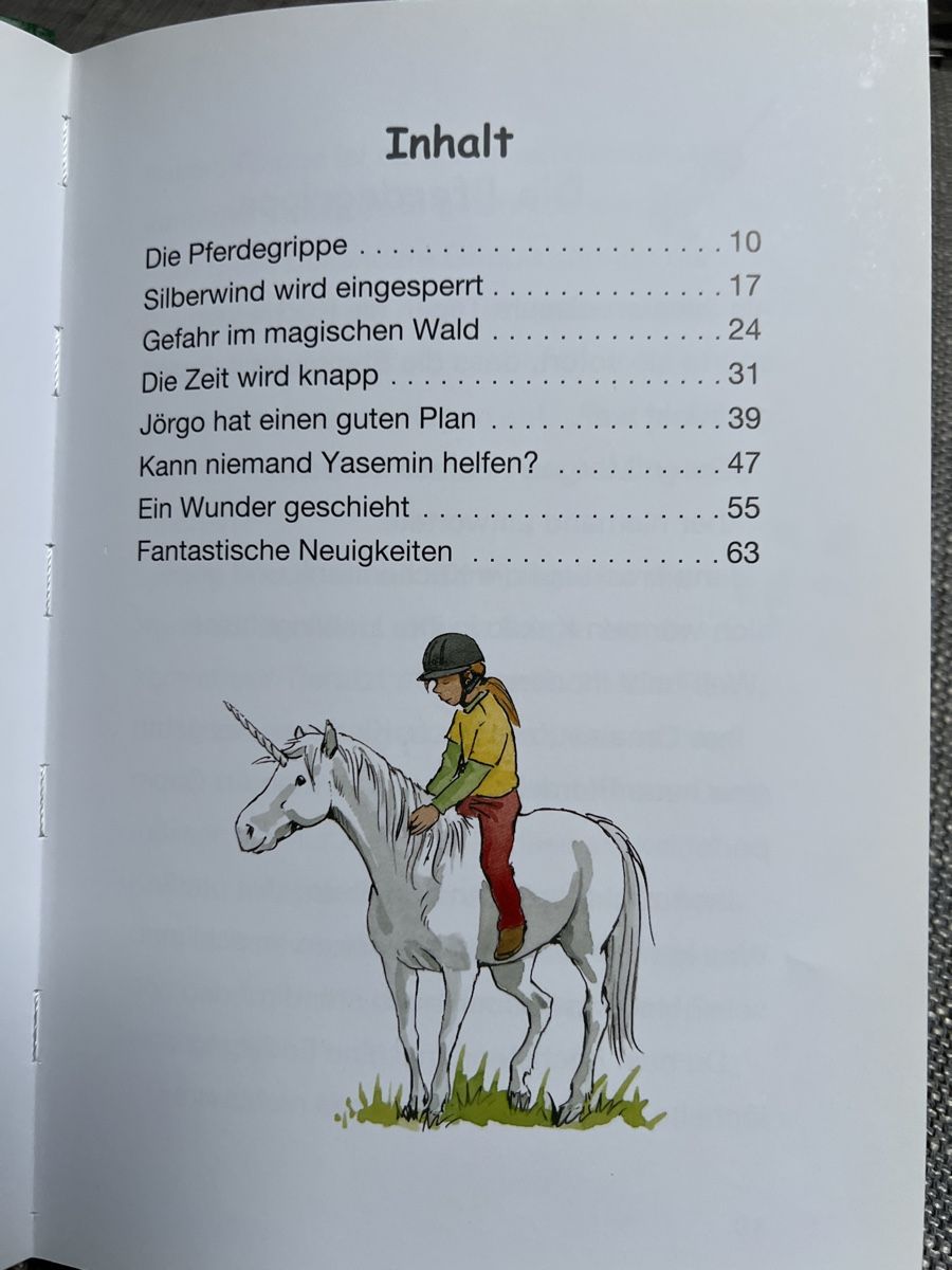 Libri: Lesebuch Silberwind „Das Einhornfohlen“ – Usato da Kirchberg BE venduto da Bergdorf16 5