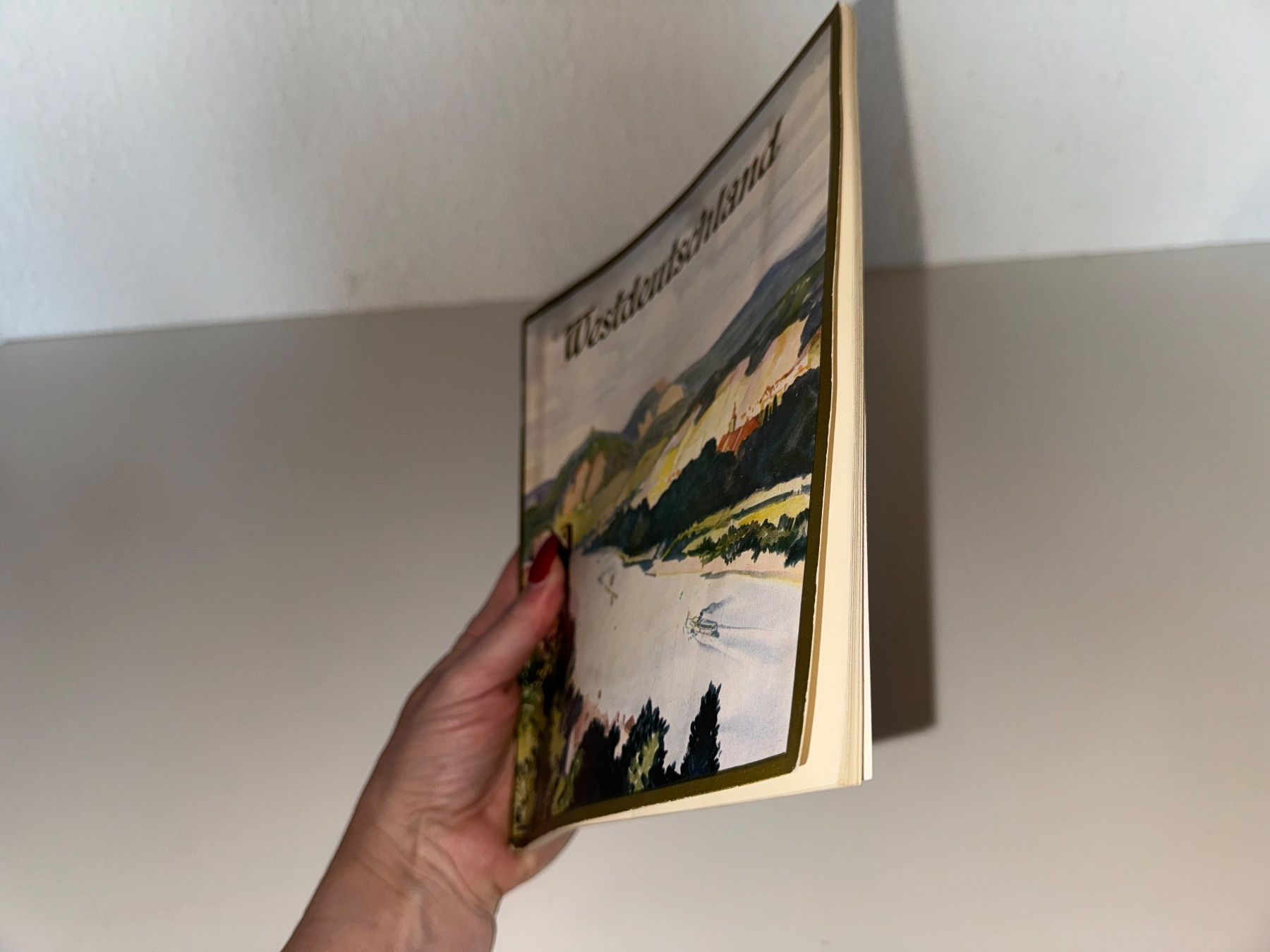Libri: BUCH: Westdeutschland – Usato da Grosswangen venduto da Second_hand_paradise 1