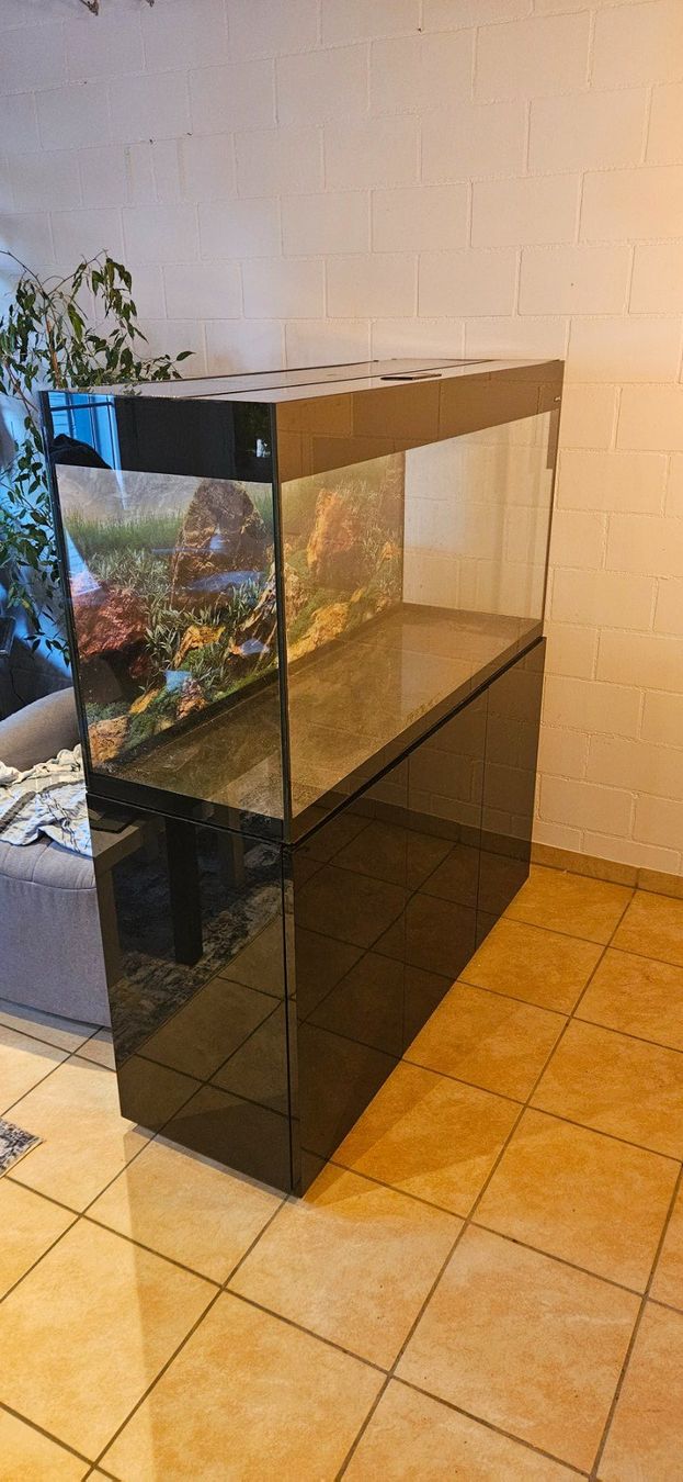 Acquari: aquarium – Usato da Löhningen venduto da regestlip 1
