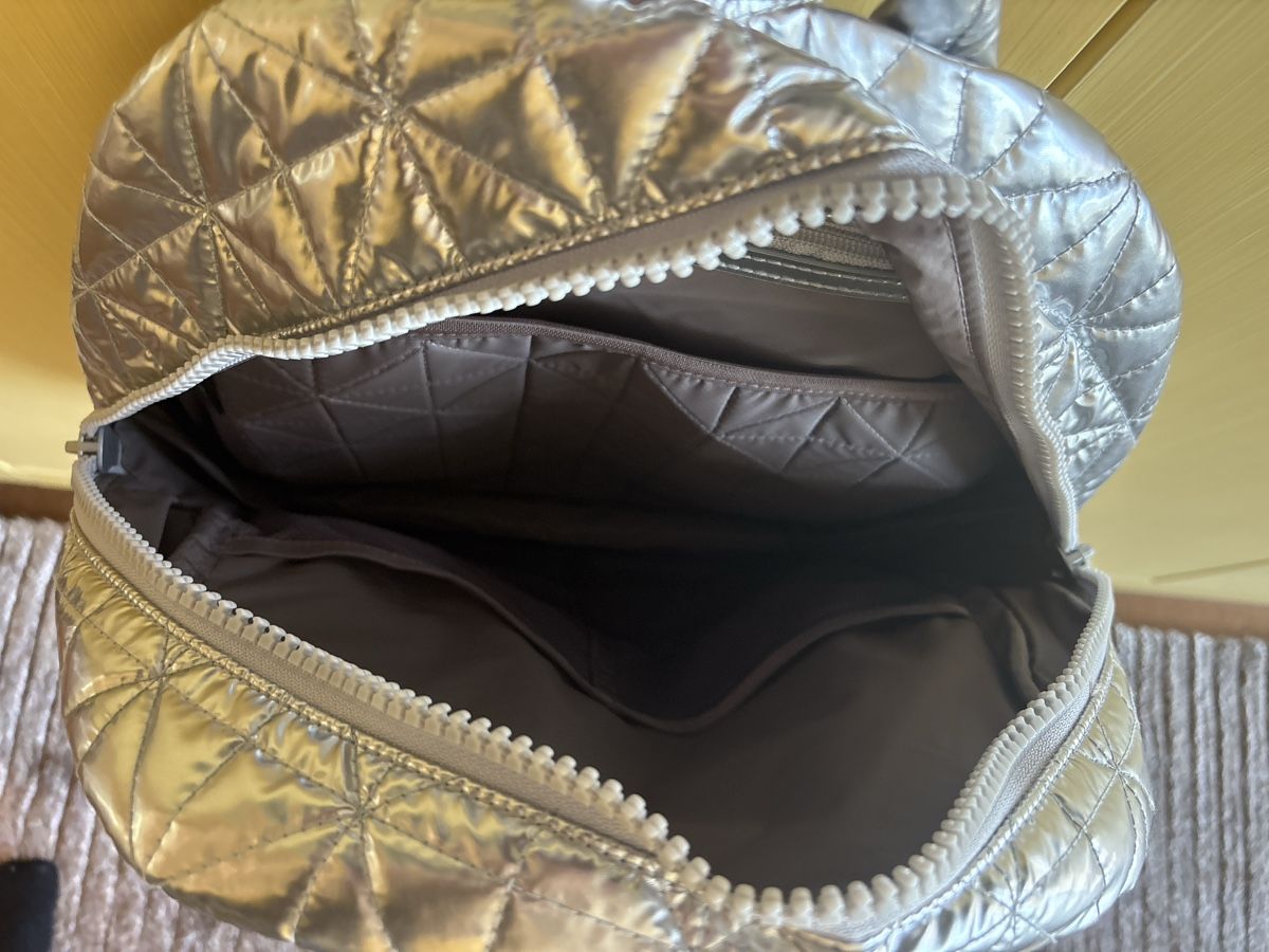 Rucksäcke: VEE Collective backpack chrome metallic – Neu (gemäss Beschreibung) aus Zürich von Dashi 2