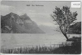 Am Wallensee