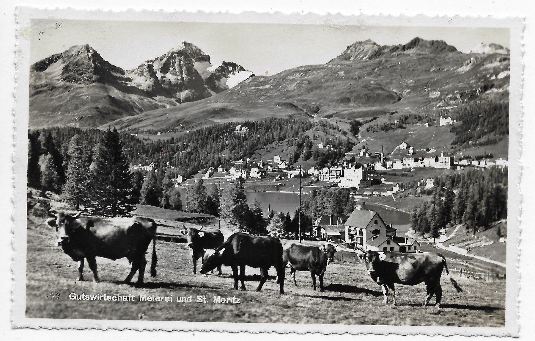 Cartoline postali: Gutswirtschaft Meierei und St. Moritz – Usato da Hefenhofen venduto da Richsalz