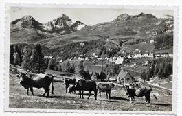 Gutswirtschaft Meierei und St. Moritz