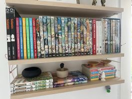 Div. Mangas und Figuren