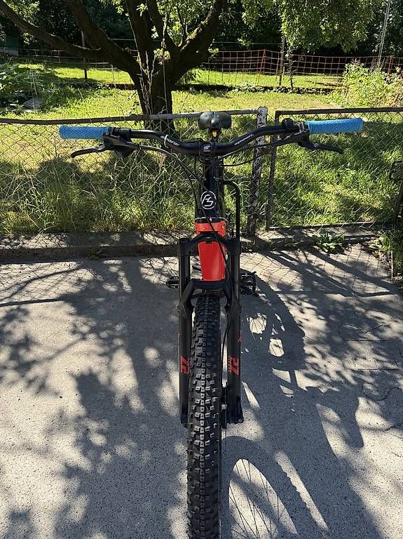 Biciclette: E-BIKE/ FRANKSwitzerland / 25km/h – Usato da Luzern venduto da aba_fn2k 2