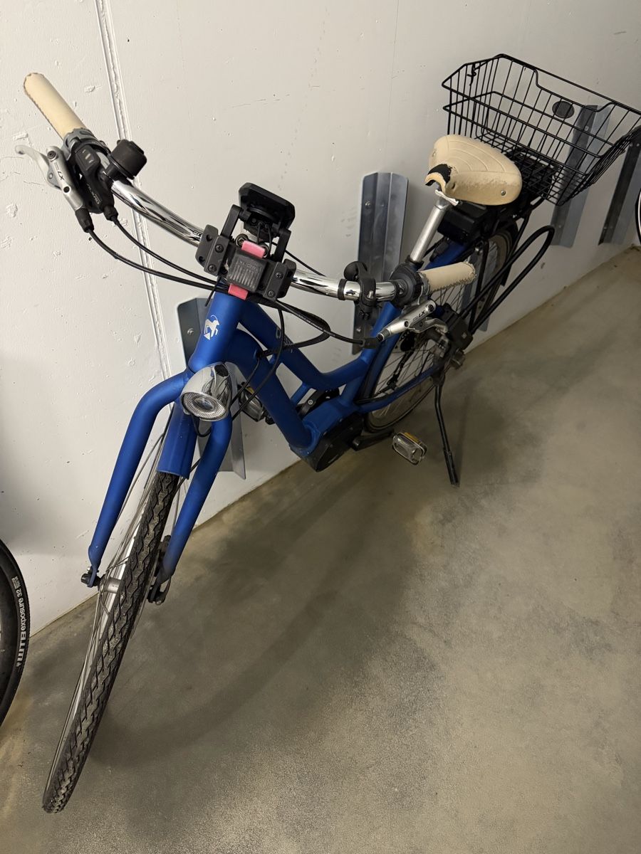 Cresta Biciclette: Cresta Damenvelo – Usato da Zürich venduto da and_fpn2