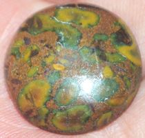 Cabochon L-1401 – Frucht Jaspis – 22x22mm