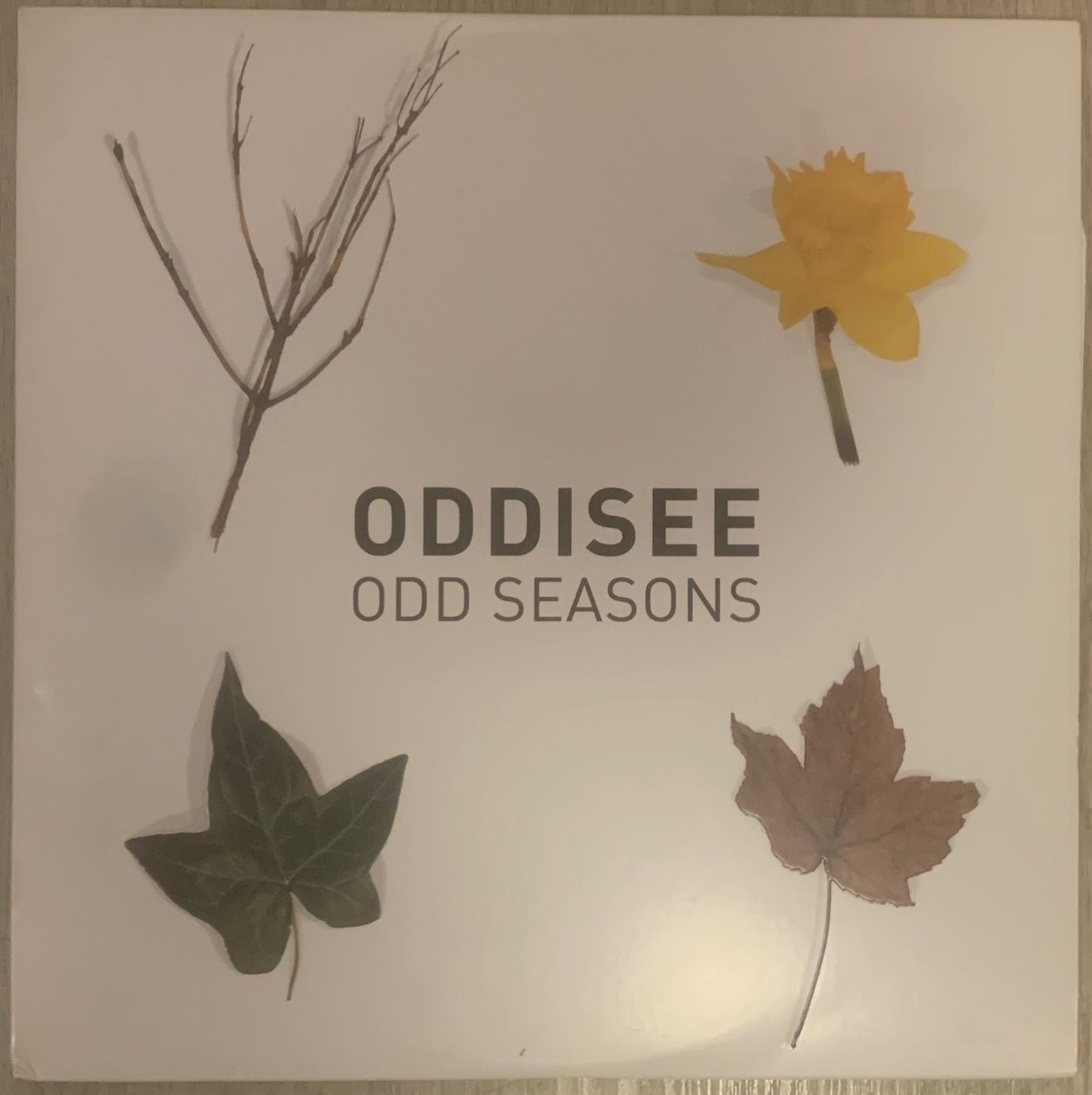 Dischi in vinile: ODDISEE- Odd Seasons D-Lp 2011 – Usato da Mühlethal venduto da superfast78
