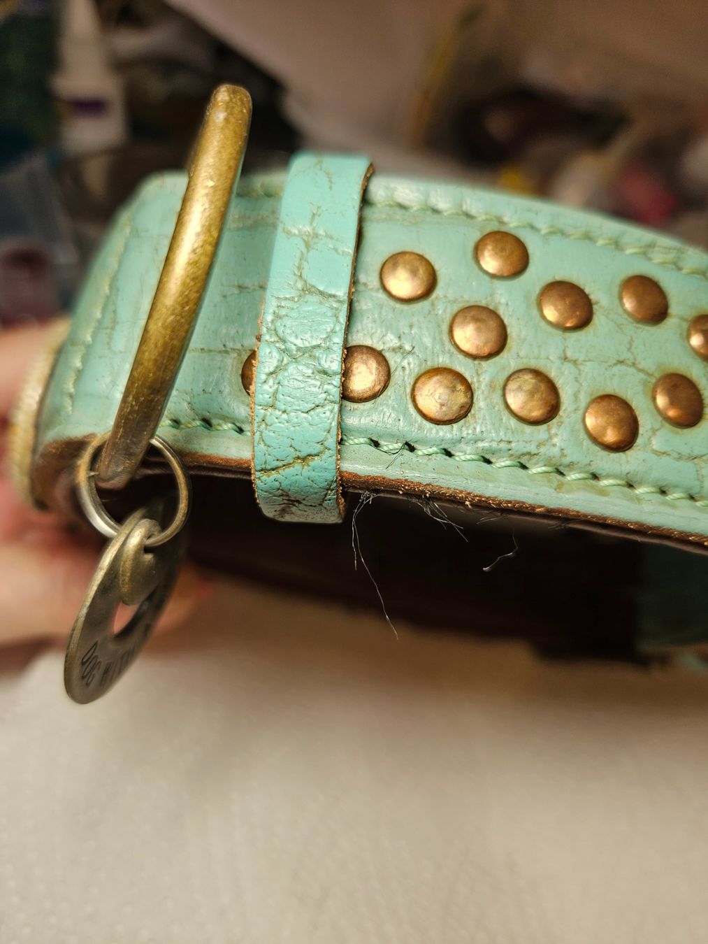 Guinzagli & Collari: Hundehalsband Leder – Usato da Beringen venduto da Sternschnappi