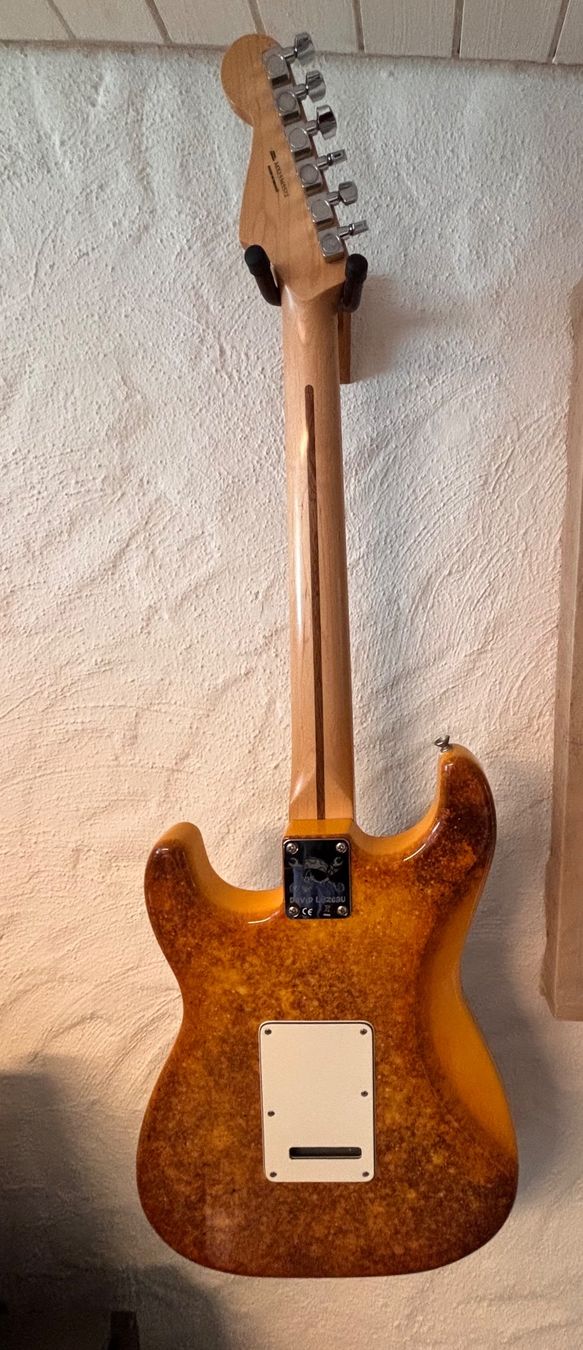 Fender Instruments de musique: Fender Special Edition David Lozeau Art Stratocaster 2016 – D'occasion à Buch SH par JTThomas 5