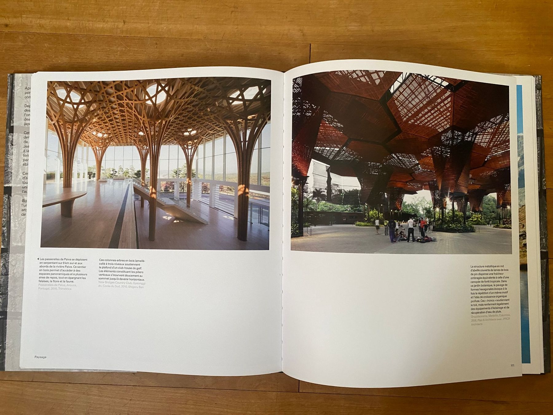 Libri: Buch "BOIS" Phaidon William Hall – Usato da Zürich venduto da fritzfranzantoni 5