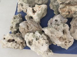 Aquarium Steine Lochgestein ca 30 kg