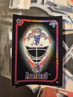NHL Florida Panthers Helmet
