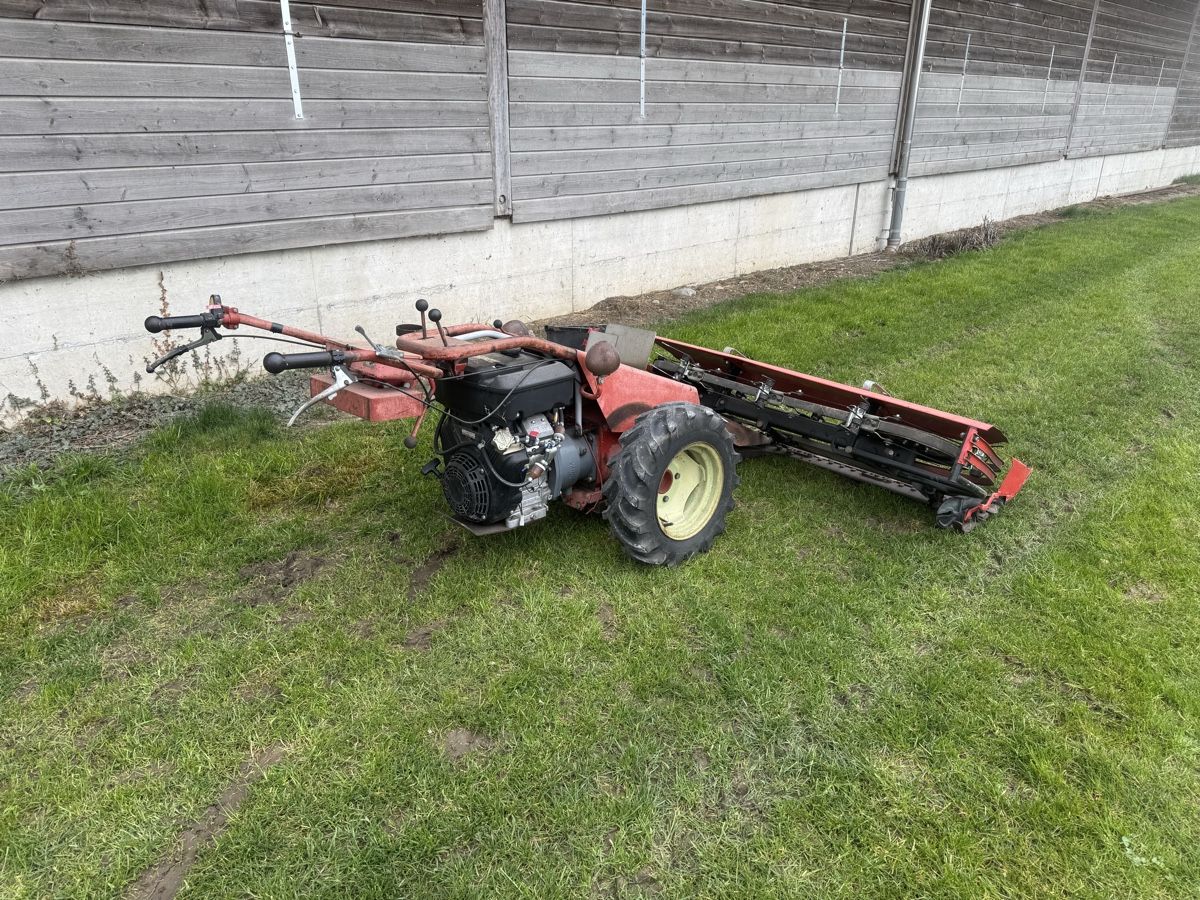 Aebi Tutte le macchine: Motormäher Aebi AM 41 mit Vanguardmotor – Usato da Winden venduto da farmalld439 1