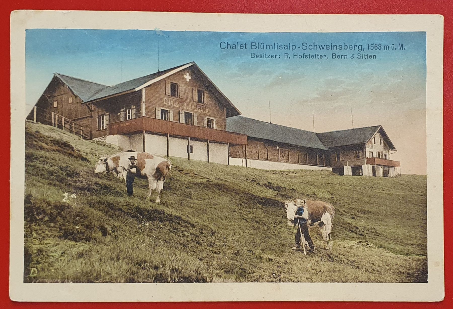 Cartoline postali: Chalet Blümlisalp-Schweinsberg, 1919 – Usato da Kreuzlingen venduto da Rschweiz1