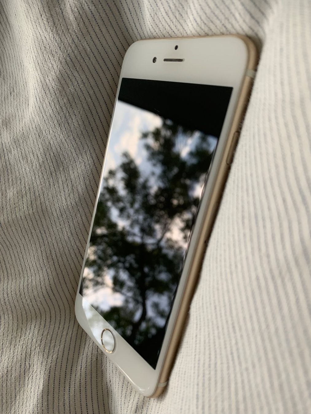 Apple Handys / Smartphones: iPhone 6S 64 GB – Gebraucht aus Edlibach von second_hand 2