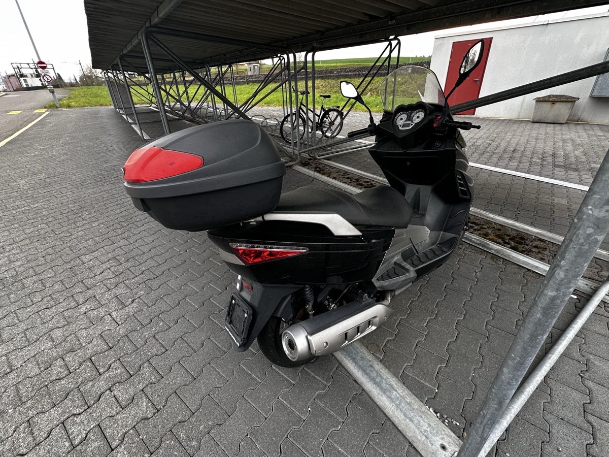Tell Route: Roller Tell Silver Blade 250 – D'occasion à Zürich par Lari72 3