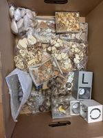 Bastelmaterial Holzherzen und Dekoartikel im Set neu