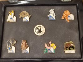 Pin Brosche Badge goldfarben, 9 Stk, Zoo ZH, limitiert