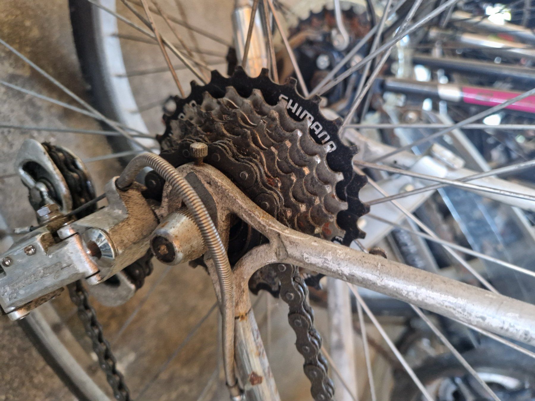 Pinarello Velos: Vintage Rennrad, Pinarello 1984 – Gebraucht aus Bern von Ak1917 6