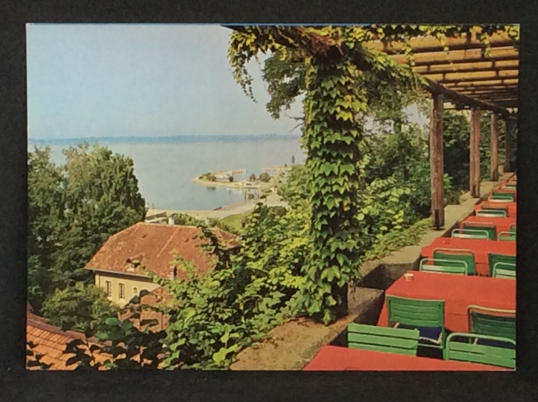 Cartes postales: Ansichtskarte: Hotel-Restaurant Murtenhof, Murten – D'occasion à Widnau par Brusi9