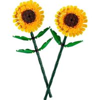 LEGO Botanicals Sonnenblumen
40524