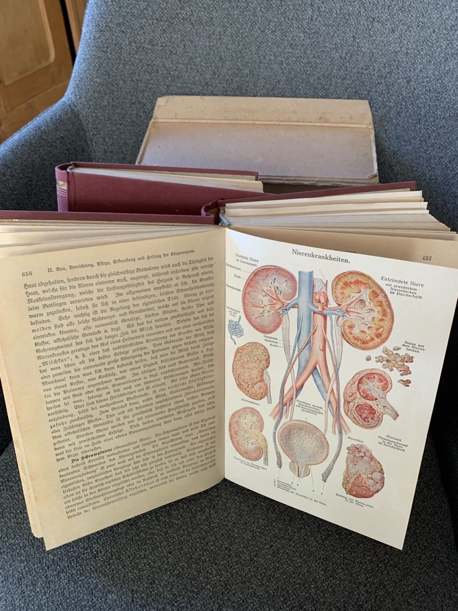 Bücher: Alte Gesundheits Bücher – Gebraucht aus Flumenthal von Lema3 1