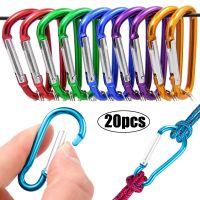 mousqueton, 20pcs Karabiner, 20Stk