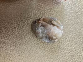 Schneckenfossil Bergkristall Edelstein Escargot Fossile