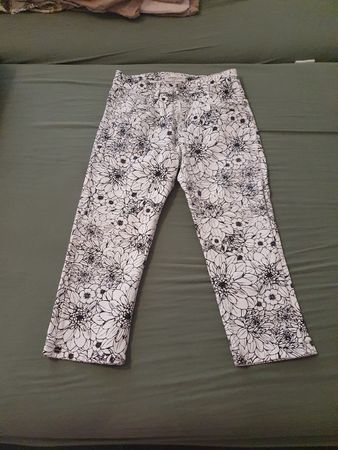 Hose 34
