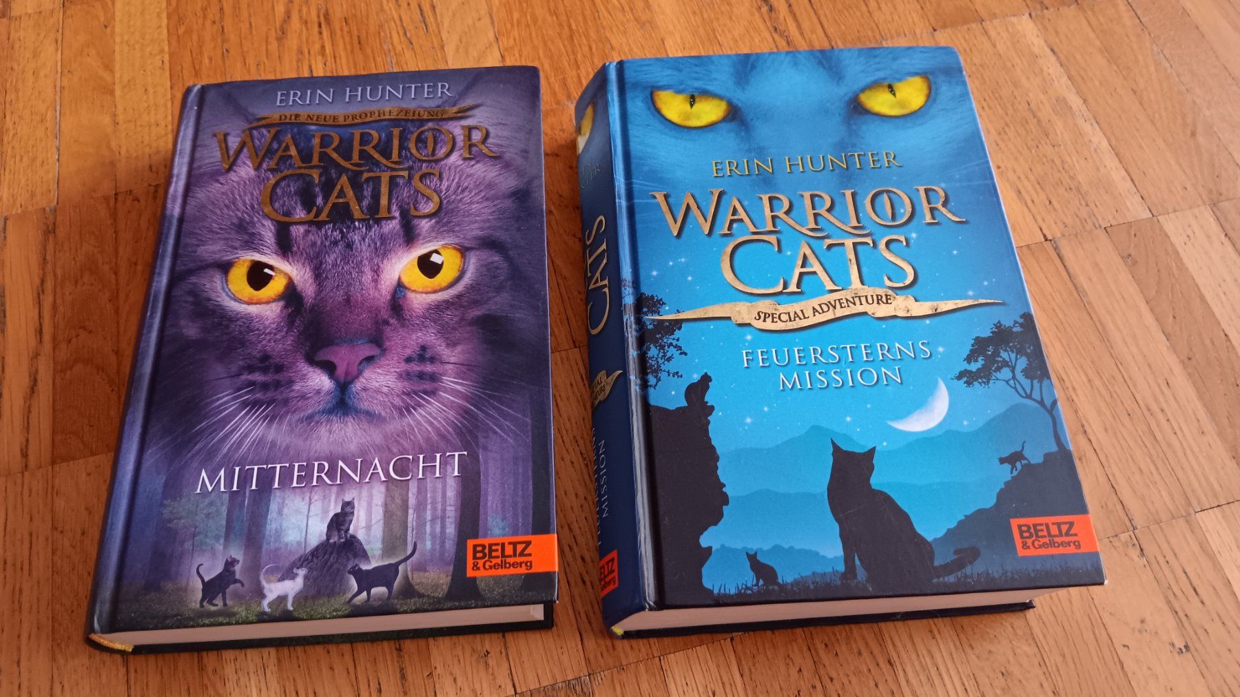 Bücher: Warrior Cats Bücher-Set, 3 Stück – Gebraucht aus Dietikon von Rabia