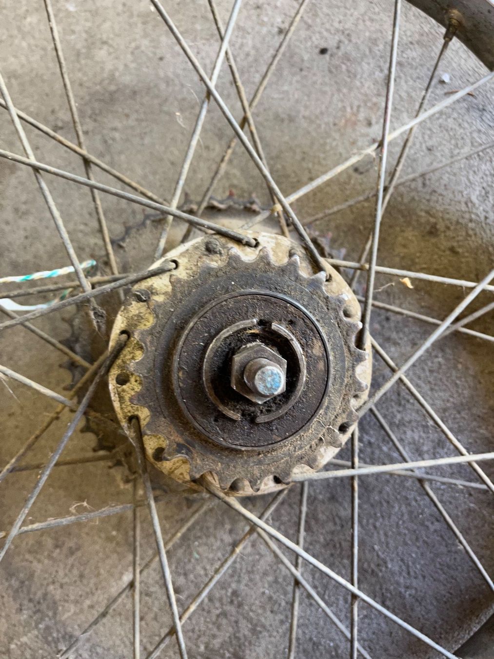Puch Parti ricambio per ciclomotori: Puch Maxi N Speichen Hinterrad – Difettoso da Fahrni b. Thun venduto da berger_tuning34 7