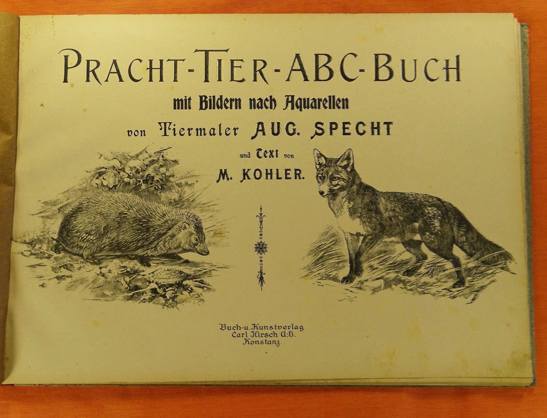 Libri: PRACHT-TIER-ABC – Usato da Grüningen venduto da Kartensammler 1