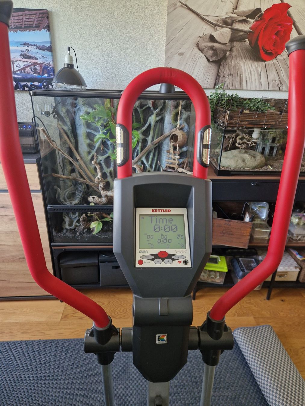 Kettler Vélos d'appartement: Crosstrainer Kettler - gratis – D'occasion à Hildisrieden par nat_r59g 2