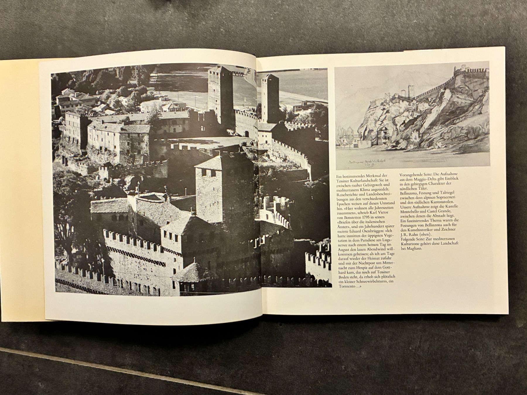 Libri: Tessin Bücher – Usato da Horw venduto da adler65 6
