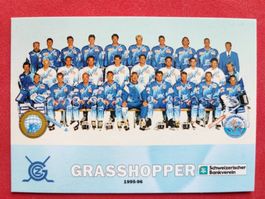 GRASSHOPPERS TEAM CARD - 1995/96