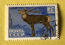 Briefmarken aus Sowjetunion (CCCP) gestempelt Siehe Original