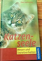 Katzenseele  Wesen und Sozialverhalten